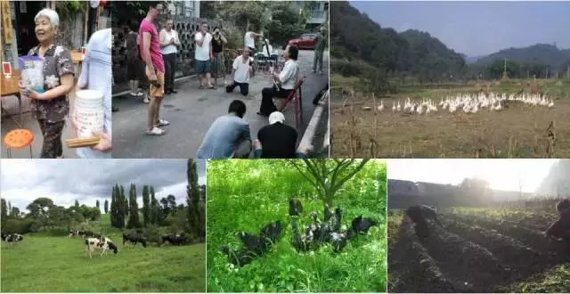 永續(xù)農(nóng)業(yè)