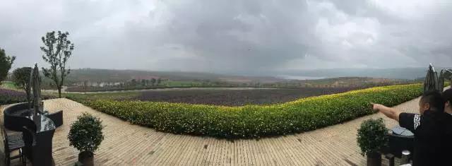 歸派國際助力彌勒提亮城市旅游名片