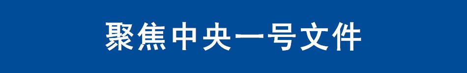 聚焦中央一號(hào)文件