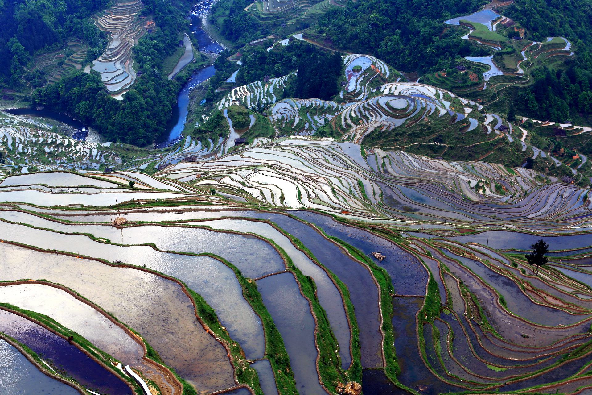 鄉(xiāng)村振興