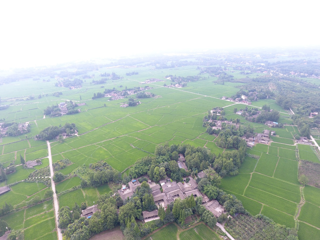 1533805336363453.png 圖片1.png