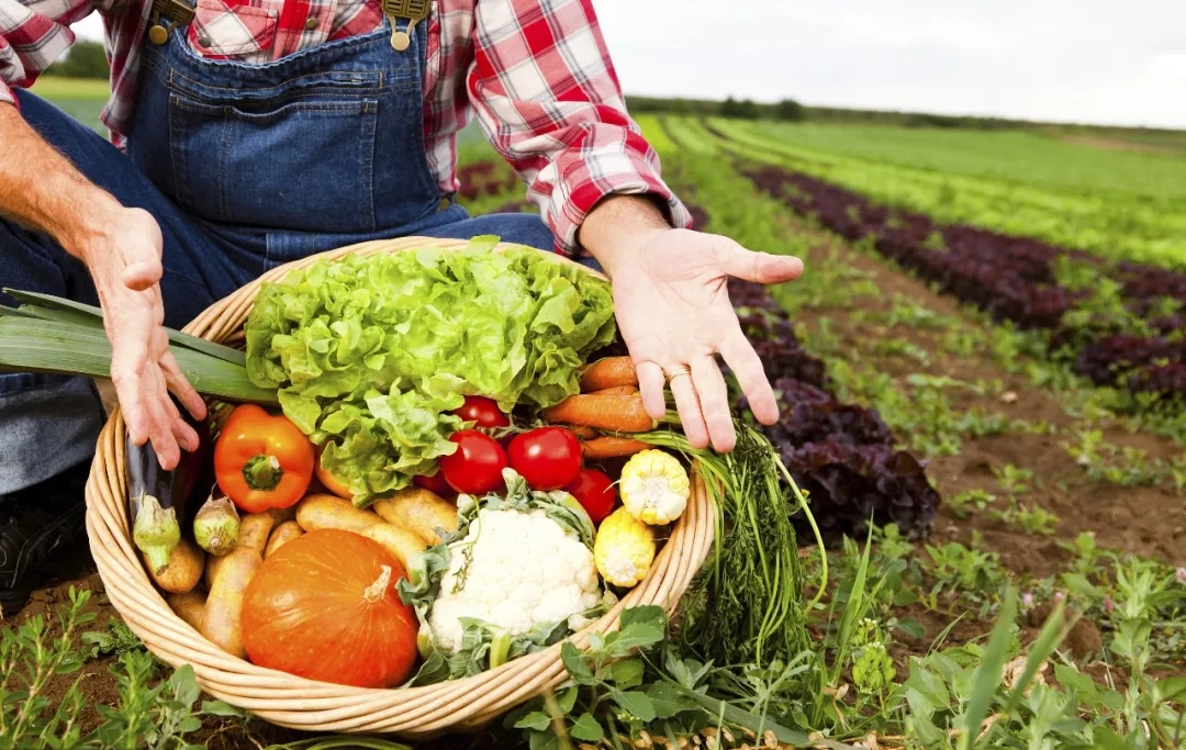 農(nóng)業(yè)職業(yè)經(jīng)理人