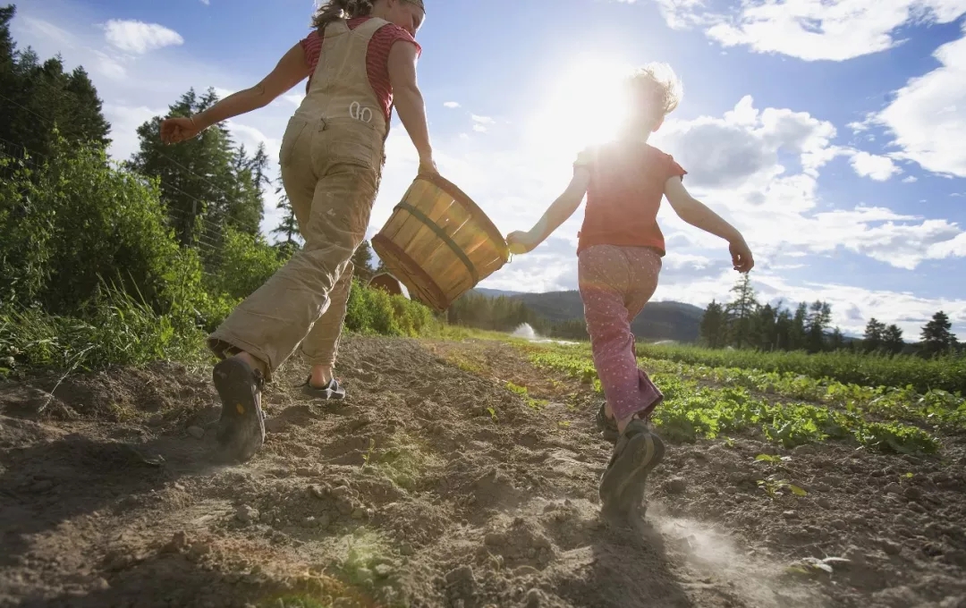 土地經(jīng)紀(jì)人