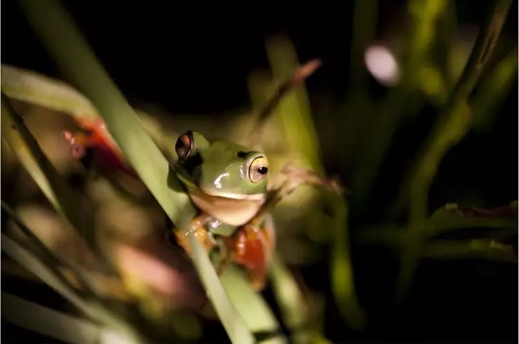 振興的是生態(tài)