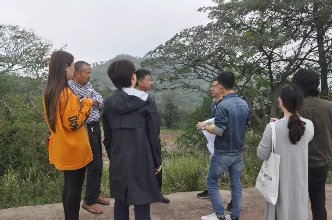 1541400355822030.jpg 640.webp (2).jpg