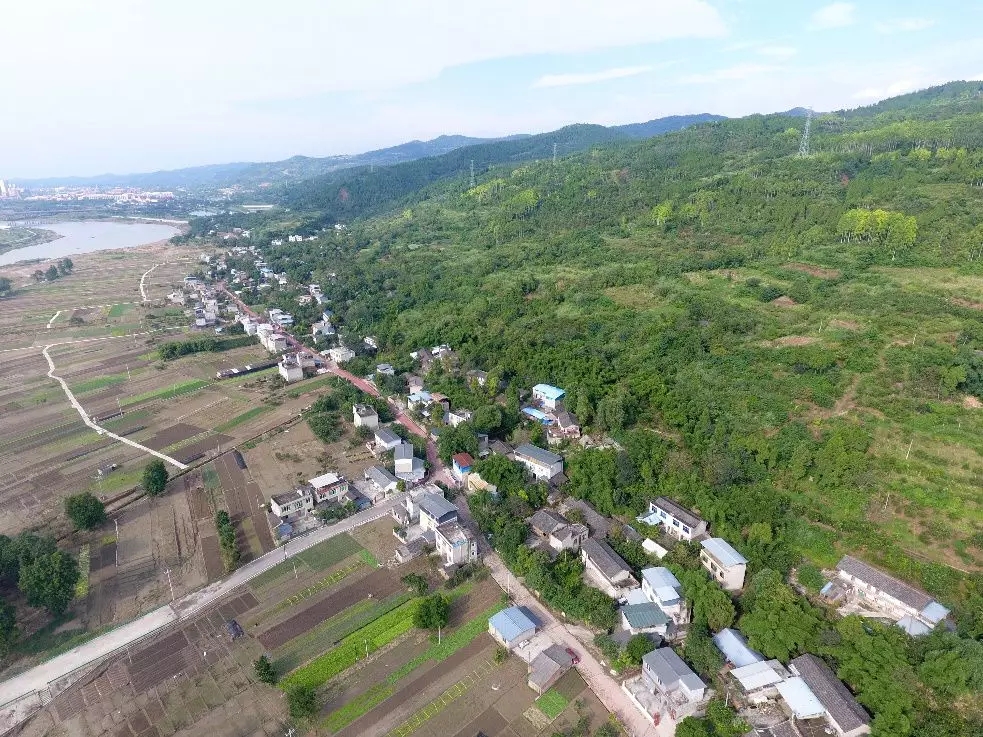 1541400396237930.jpg 640.webp (4).jpg