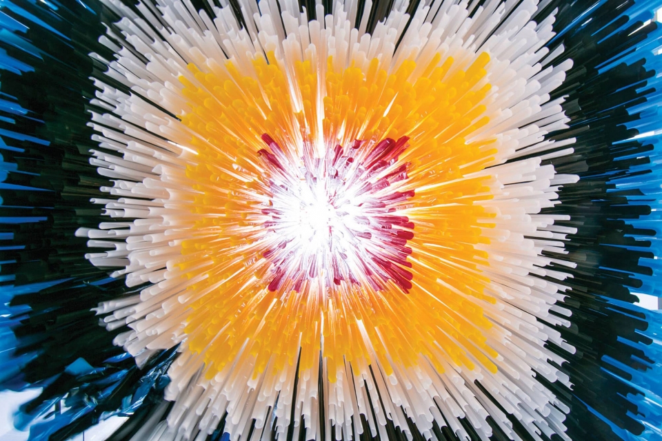 1547865041306232.jpg 001-nike-savvas-multi-sensory-papillon-by-uap-960x640.jpg