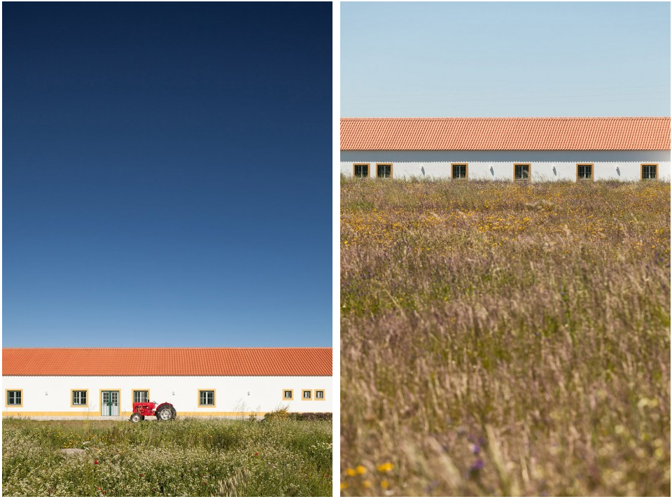 1547867854214237.png TIM截圖20190119111721.png