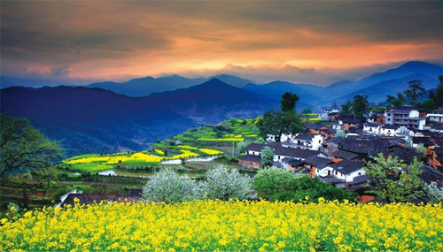 1551771036492768.jpg 7.jpg