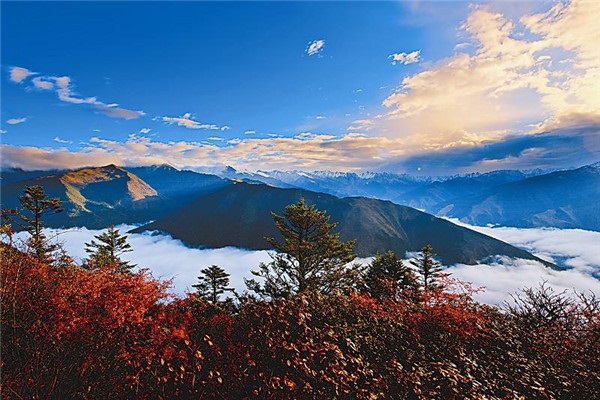 1551771045442096.jpg 8.jpg