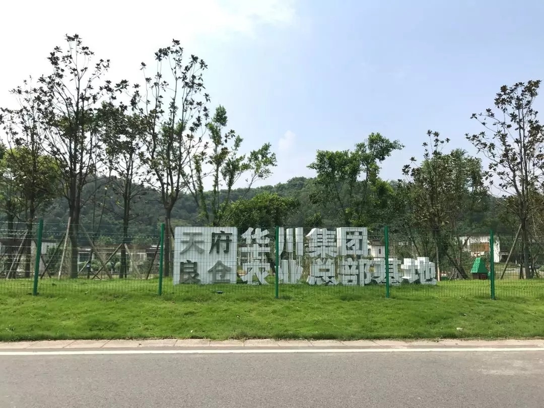 1562642491632400.jpg 1562642491632400.jpg