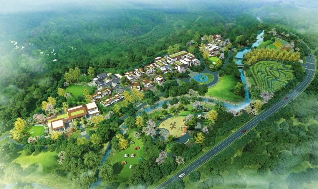 1562642491719821.jpg 1562642491719821.jpg