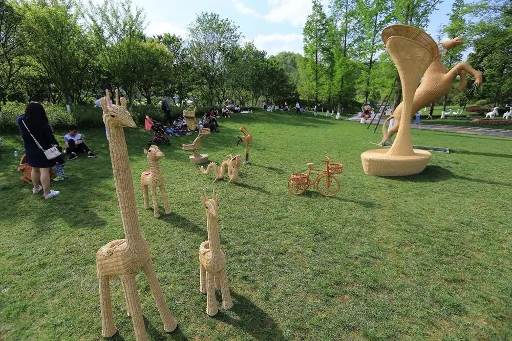 1562642681277243.jpg 1562642681277243.jpg