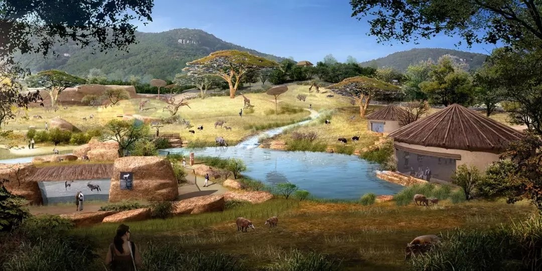 1562642744663131.jpg 1562642744663131.jpg