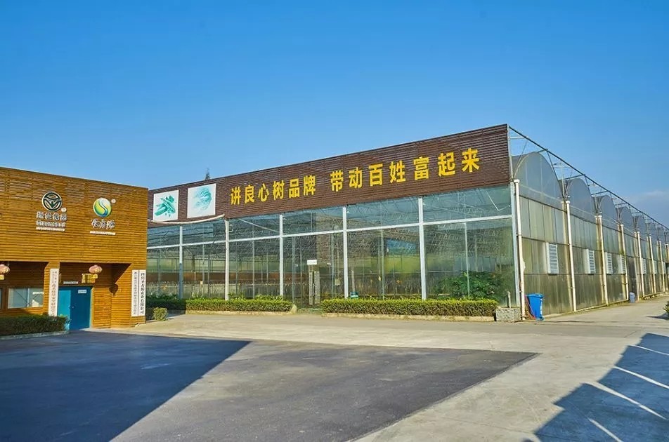 1562642903911549.jpg 1562642903911549.jpg