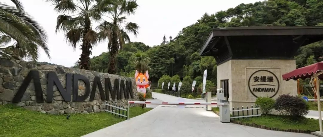 1562642968409811.jpg 1562642968409811.jpg