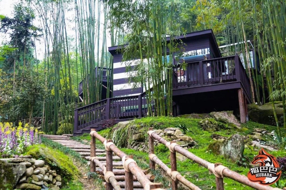 1562643013347304.jpg 1562643013347304.jpg