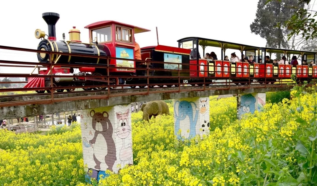 1562643179509943.jpg 1562643179509943.jpg