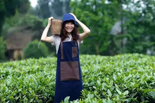 1562643412100644.jpg 1562643412100644.jpg