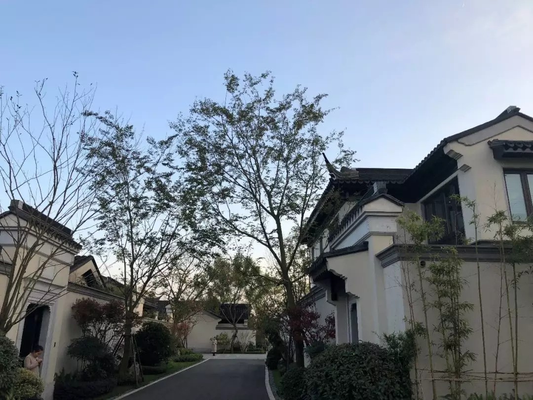 1562643608274394.jpg 1562643608274394.jpg