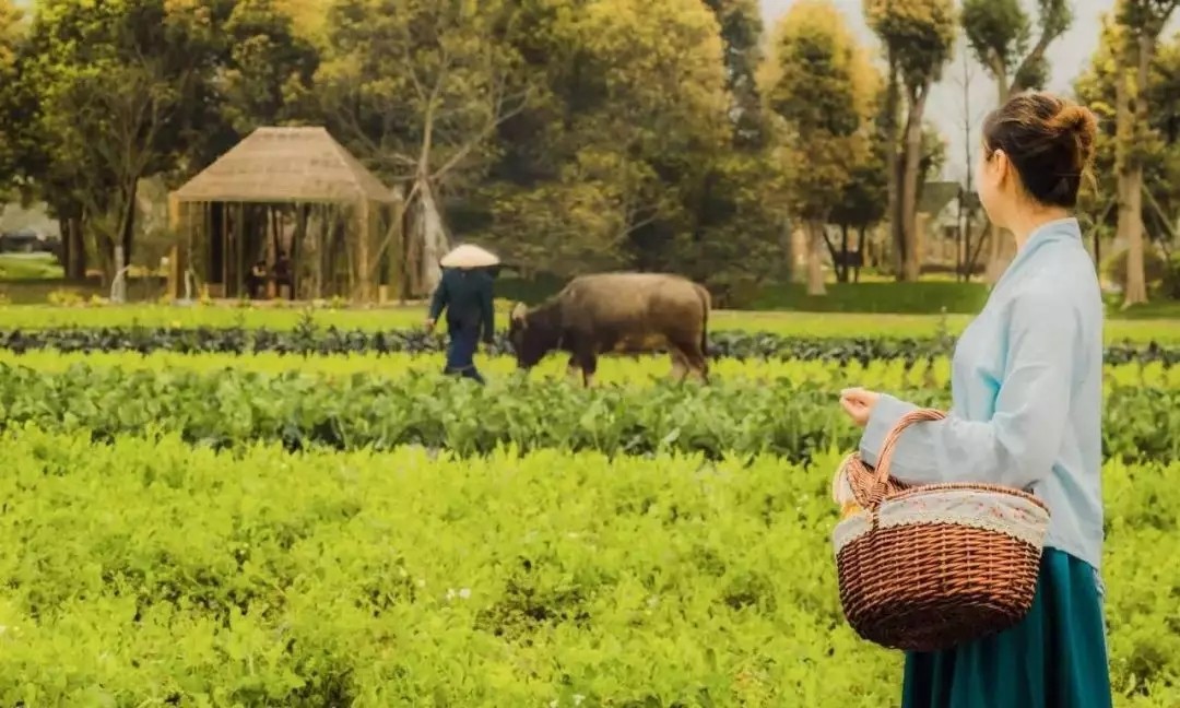 1562643658116832.jpg 1562643658116832.jpg