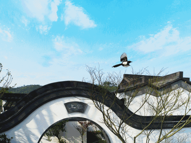 1562643978226856.gif 640 (1).gif