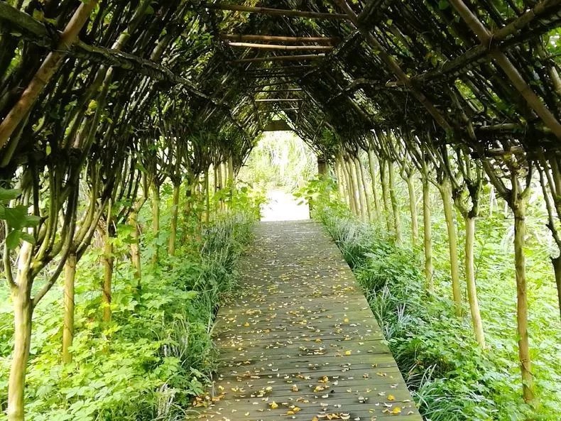 1562660016603952.jpg 1562660016603952.jpg