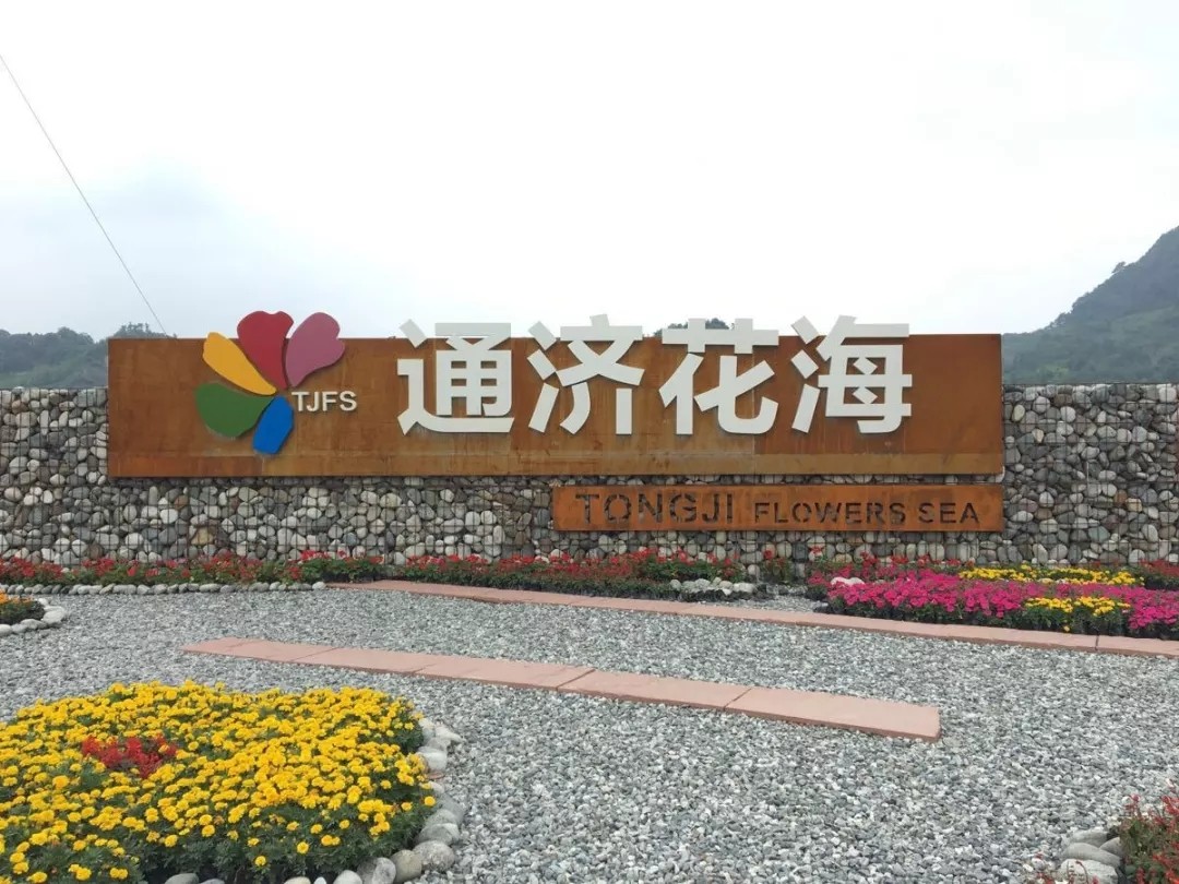 1562660269200987.jpg 1562660269200987.jpg