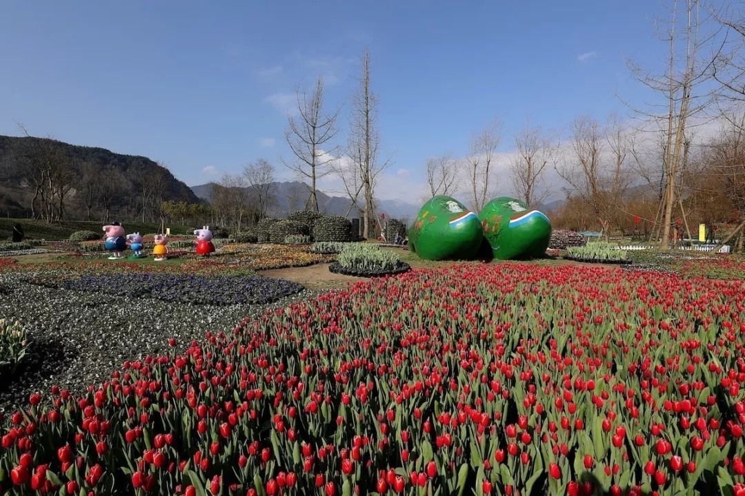 1562660306137516.jpg 1562660306137516.jpg