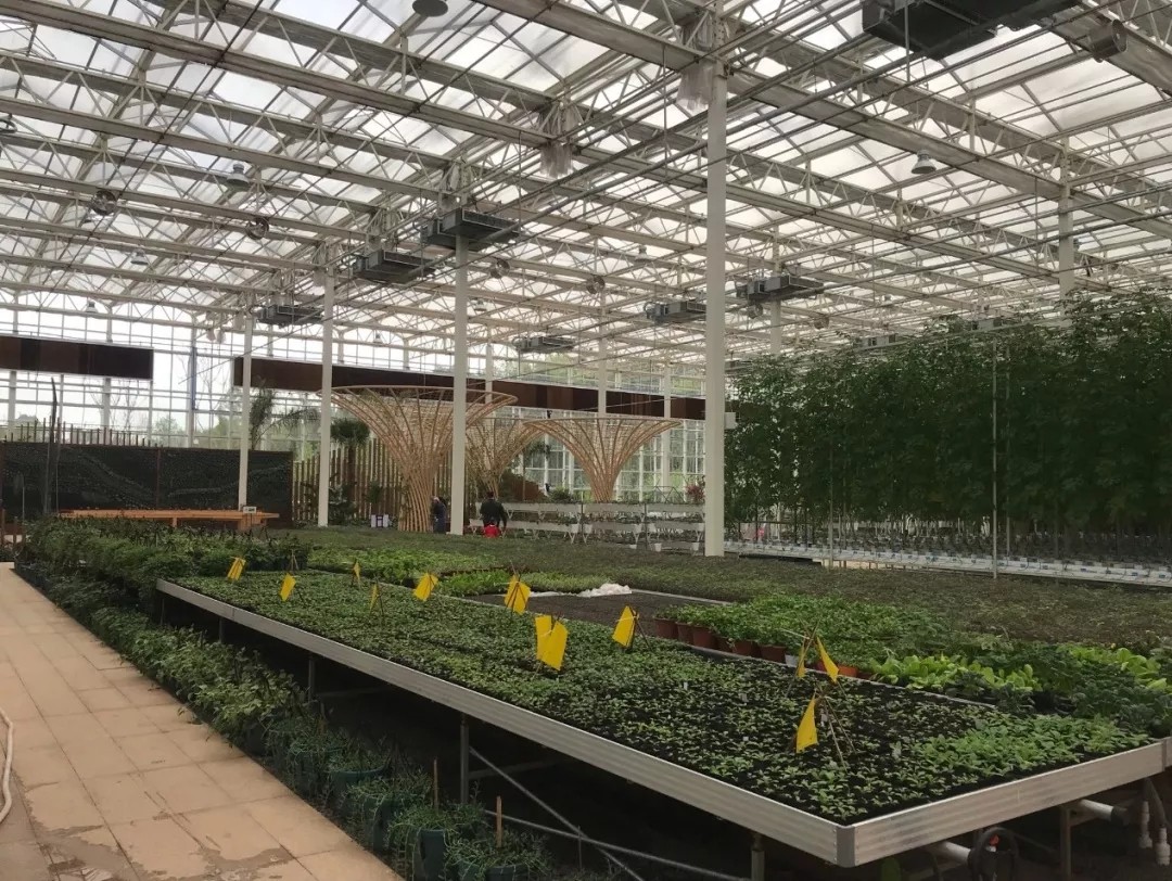 1562660490819915.jpg 1562660490819915.jpg