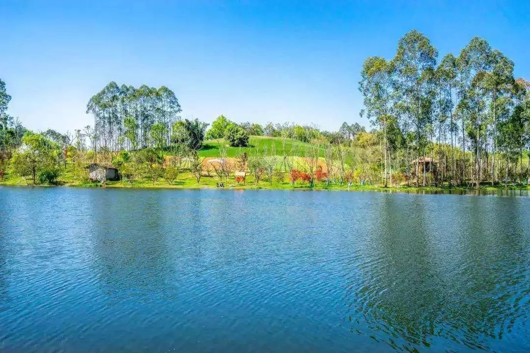 1562660545593068.jpg 1562660545593068.jpg