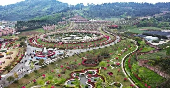 1562660814523521.jpg 1562660814523521.jpg