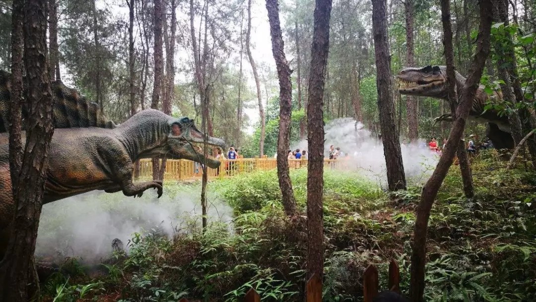 1562661191412746.jpg 1562661191412746.jpg