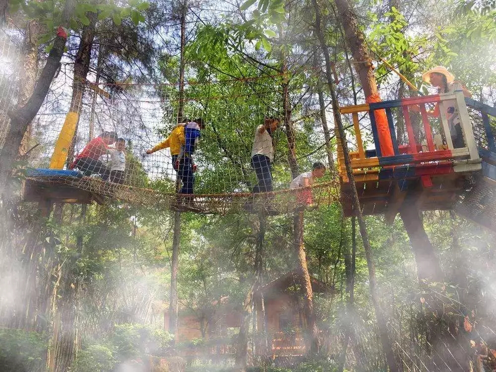 1562661270328939.jpg 1562661270328939.jpg