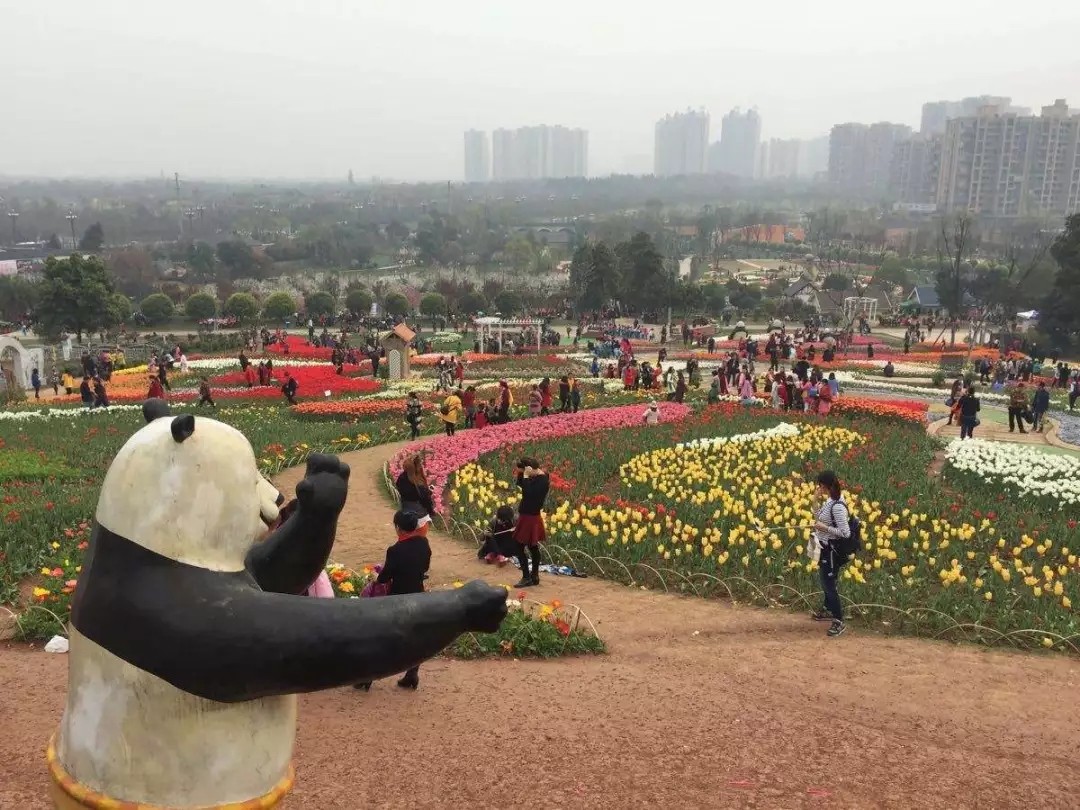 1562661446937871.jpg 1562661446937871.jpg