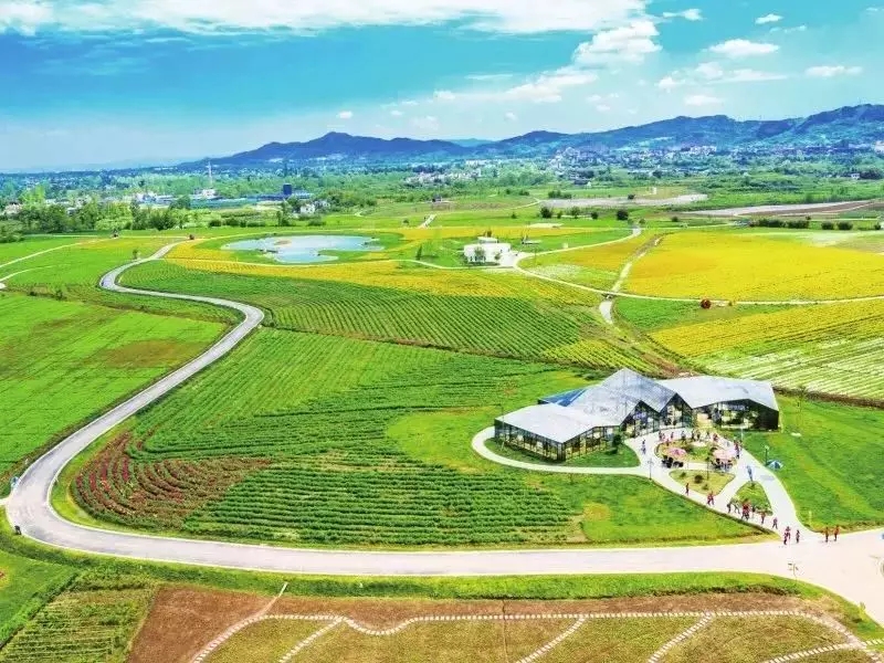 1562661668842790.jpg 1562661668842790.jpg