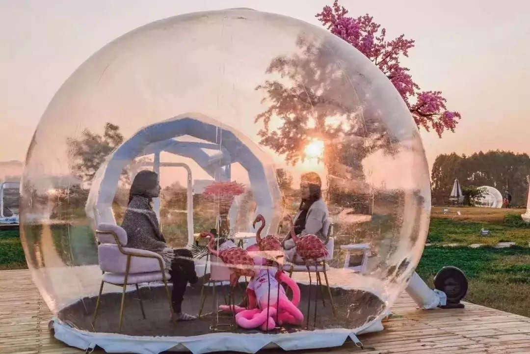 1562661726211504.jpg 1562661726211504.jpg