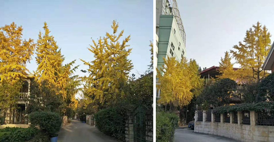 1574667734827523.png 1574667734827523.png