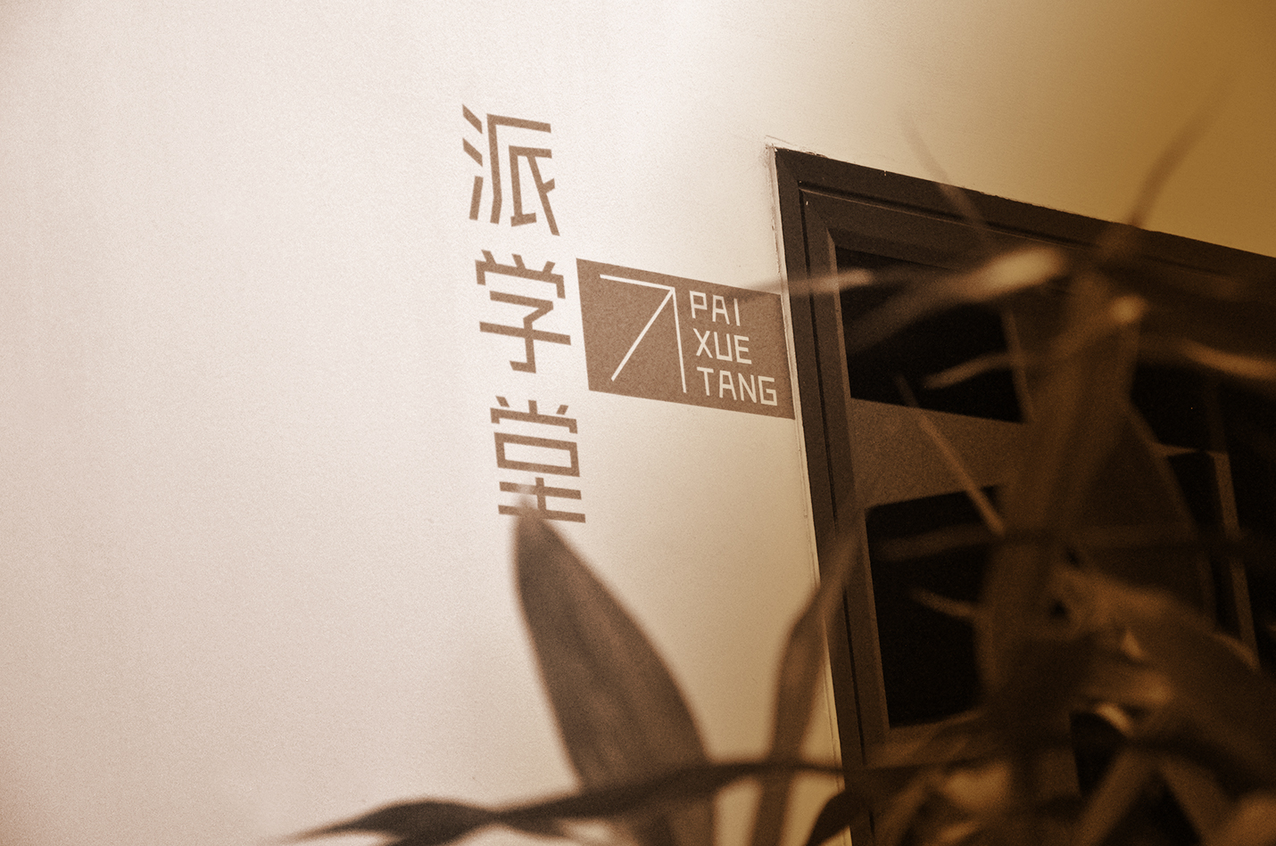 1574668055694223.jpg 1574668055694223.jpg