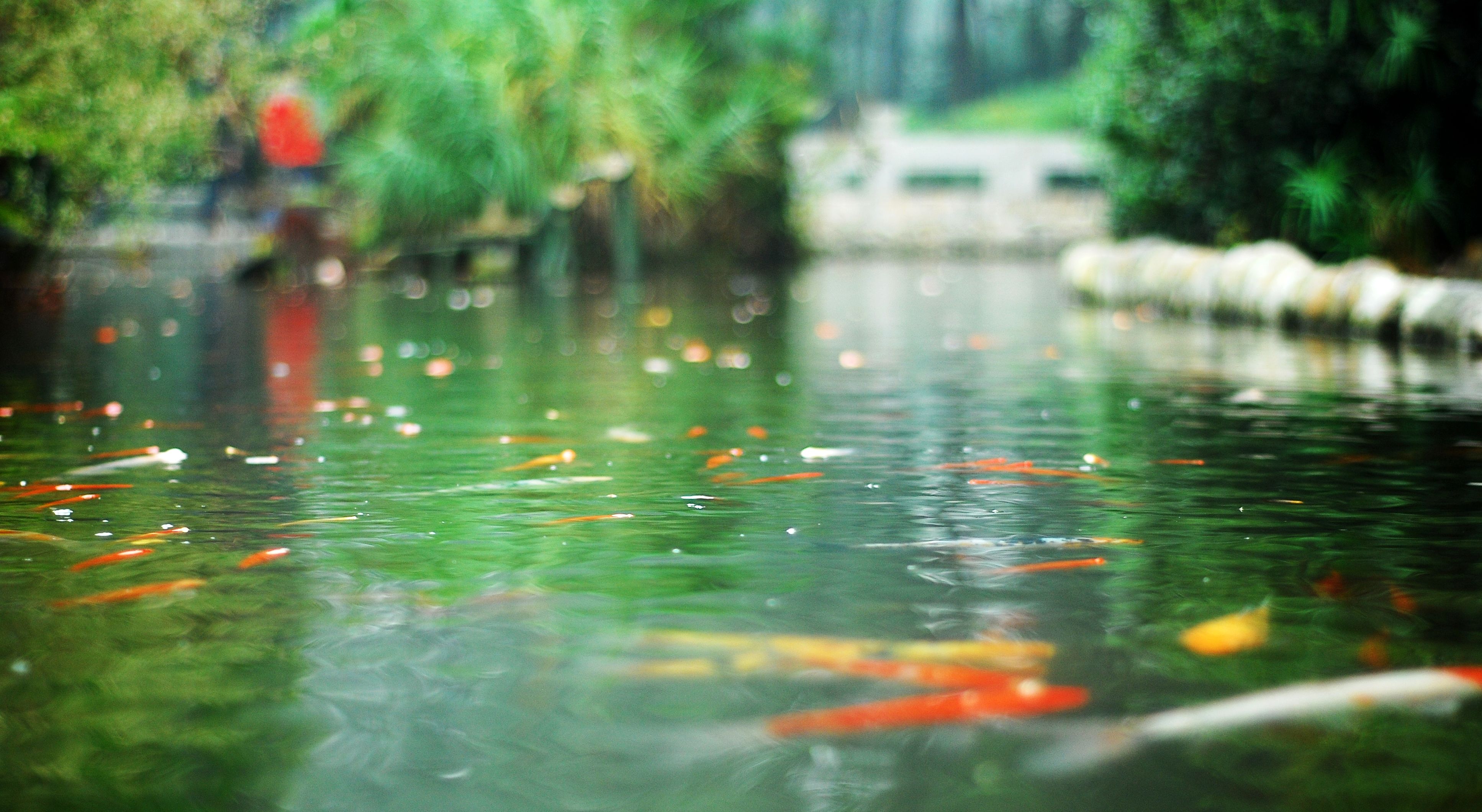 1574669346905849.jpg 1574669346905849.jpg