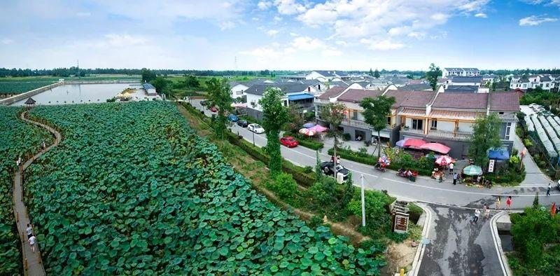 1574841543854505.png 1574841543854505.png