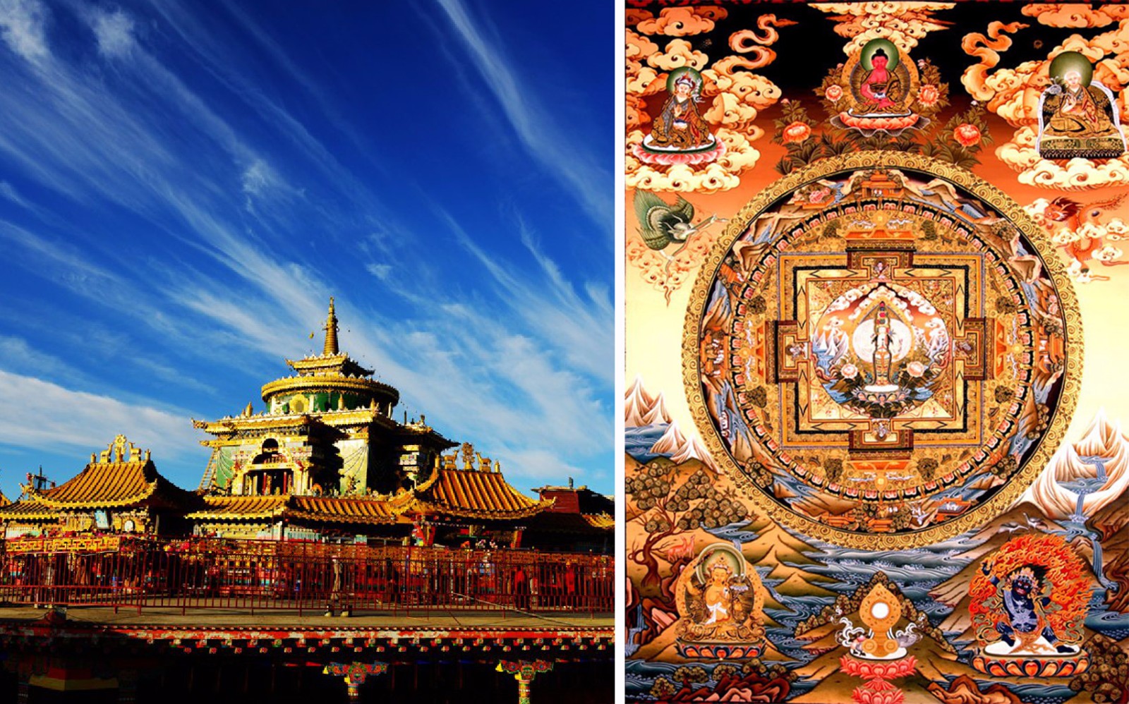 1577175198290994.jpg 71.jpg