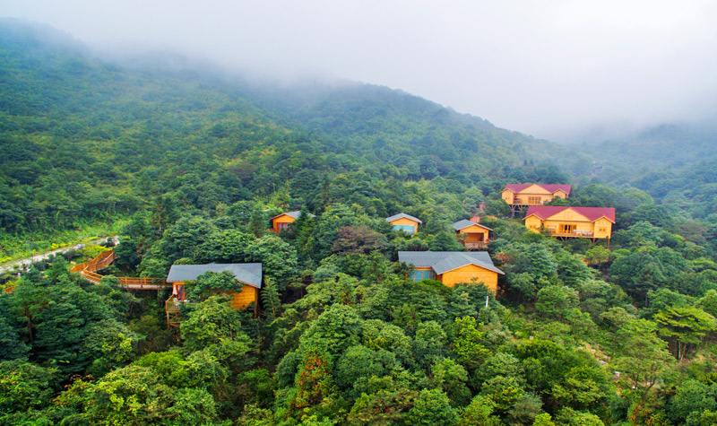 1597819460747852.jpg 1597819460747852.jpg