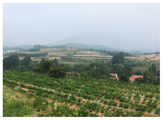 1607306779196543.png 圖片7.png